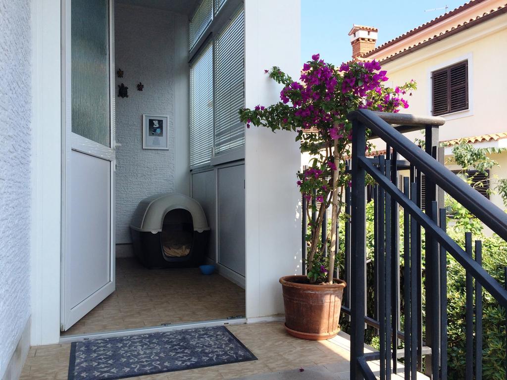 Apartments Kolorcek Izola Exterior foto